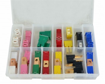 Assorted PAL Fuses (30) 